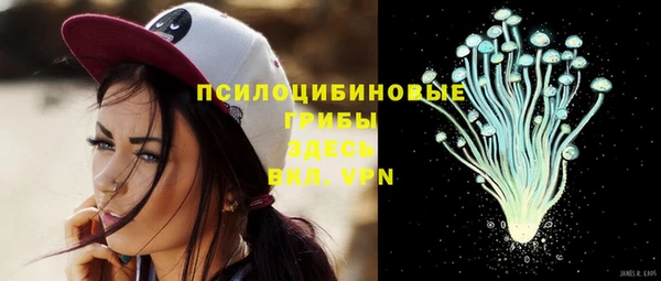 таблы Алексеевка