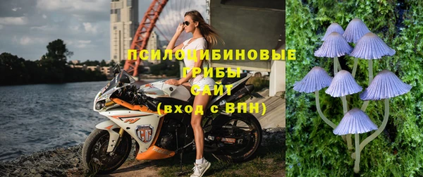 дурь Алексин