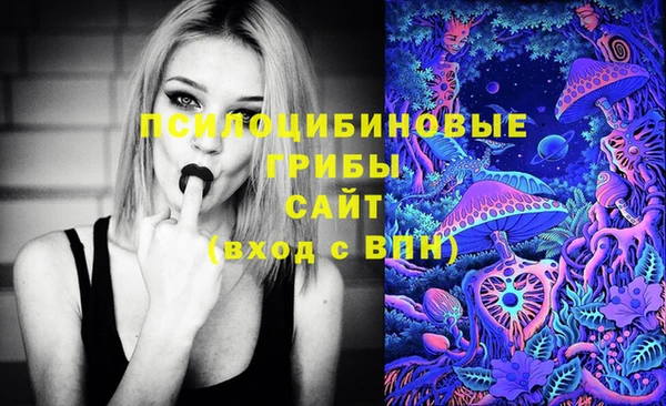 таблы Алексеевка